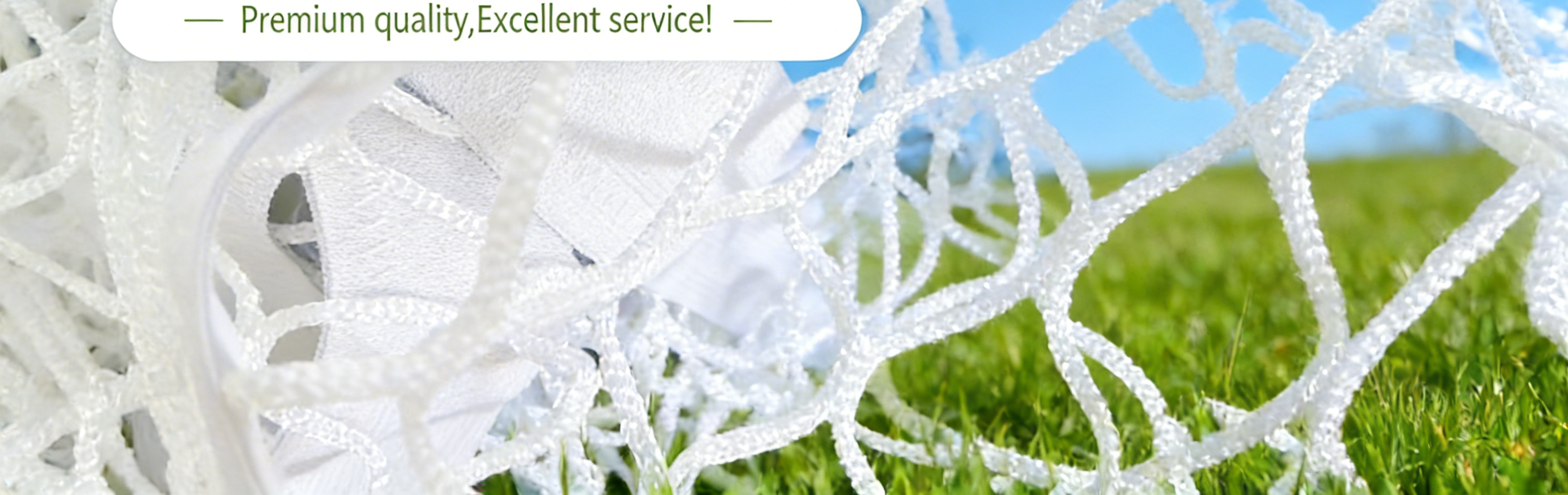 SHENZHEN SHENGLONG NETTING CO., LTD.